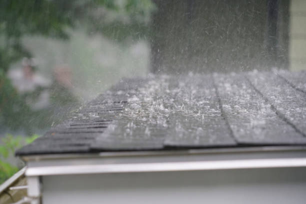Best Roof Coating and Sealing  in Wilder, VT